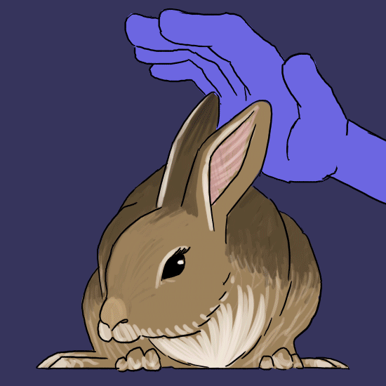 tumblr_okhnz60CFP1sl6l1no1_640