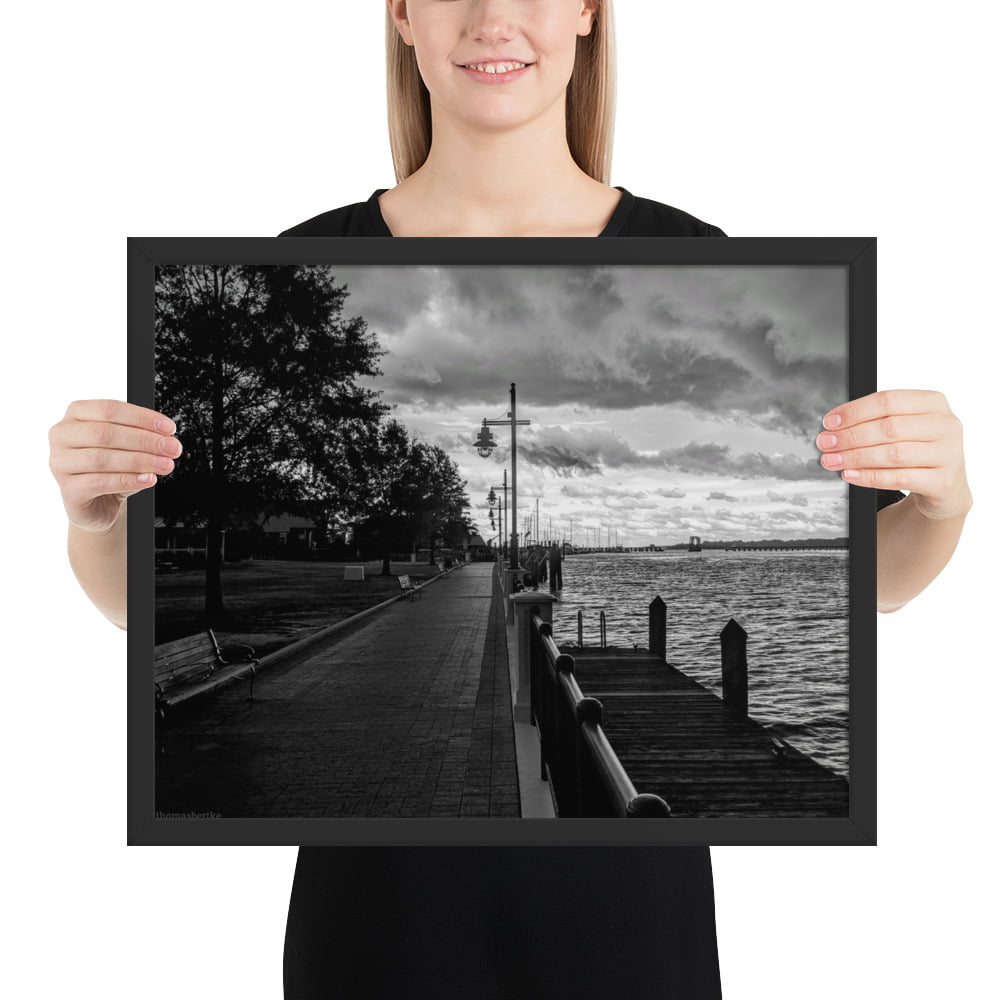 premium-luster-photo-paper-framed-poster-in-black-16×20-person-61690a3e97818.jpg