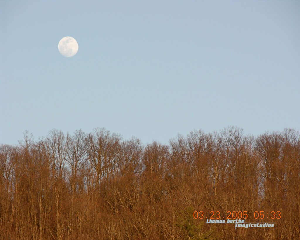 Winter Moon