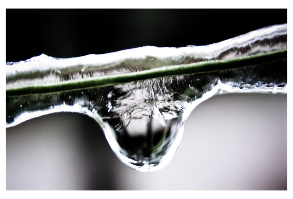 Drop of Frost